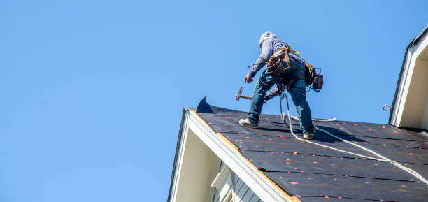 Best Roof Gutter Cleaning  in Wausau, WI